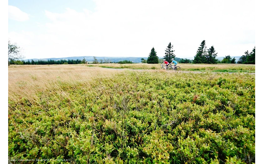 In der Hochheide-Landschaft des Kahlen Astens