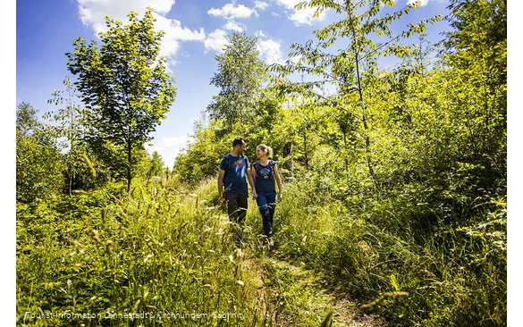 Wanderer auf dem Veischeder Sonnenpfad an der Hohen Bracht