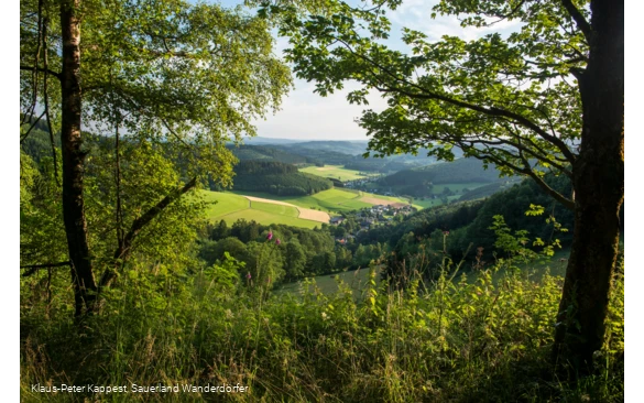 Aussicht am goldenen Zapfen in Siegerland