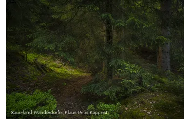 Sauerland-Seelenort Steinbruch am Schinkenkeller