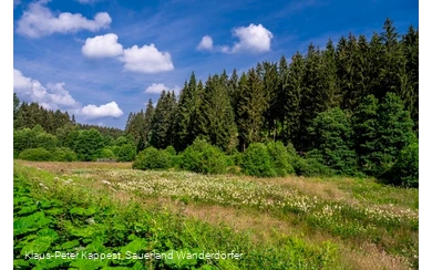 Schwarzbachtal im Sommer