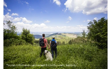 Panorama Hohe Bracht