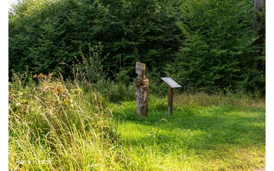 Verweil-Ort Lebensringe