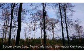 FFH Gebiet Apollmicke-Einsiedelei