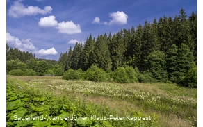 Natur im Schwarzbachtal