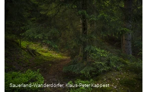 Sauerland-Seelenort Steinbruch am Schinkenkeller