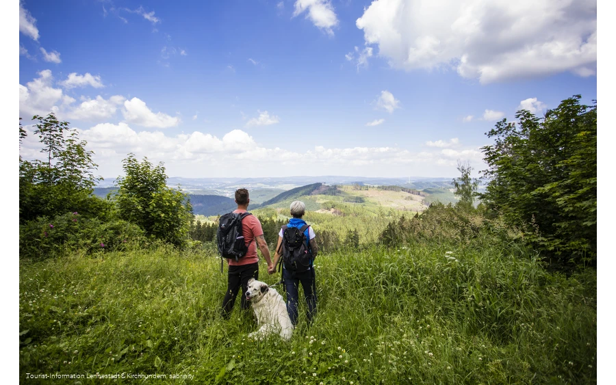 Panorama Hohe Bracht