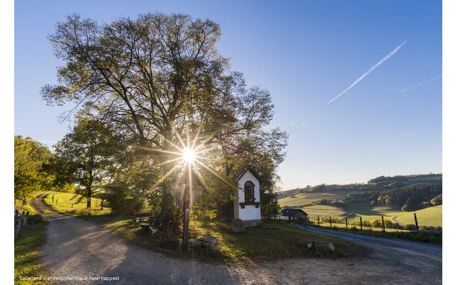 Sauerland Seelenort Lausebuche