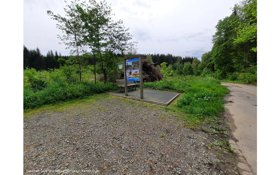 Wanderparkplatz Dollenbruch.jpg