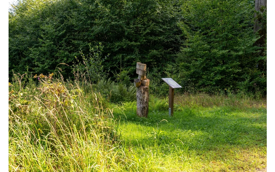 Verweil-Ort Lebensringe