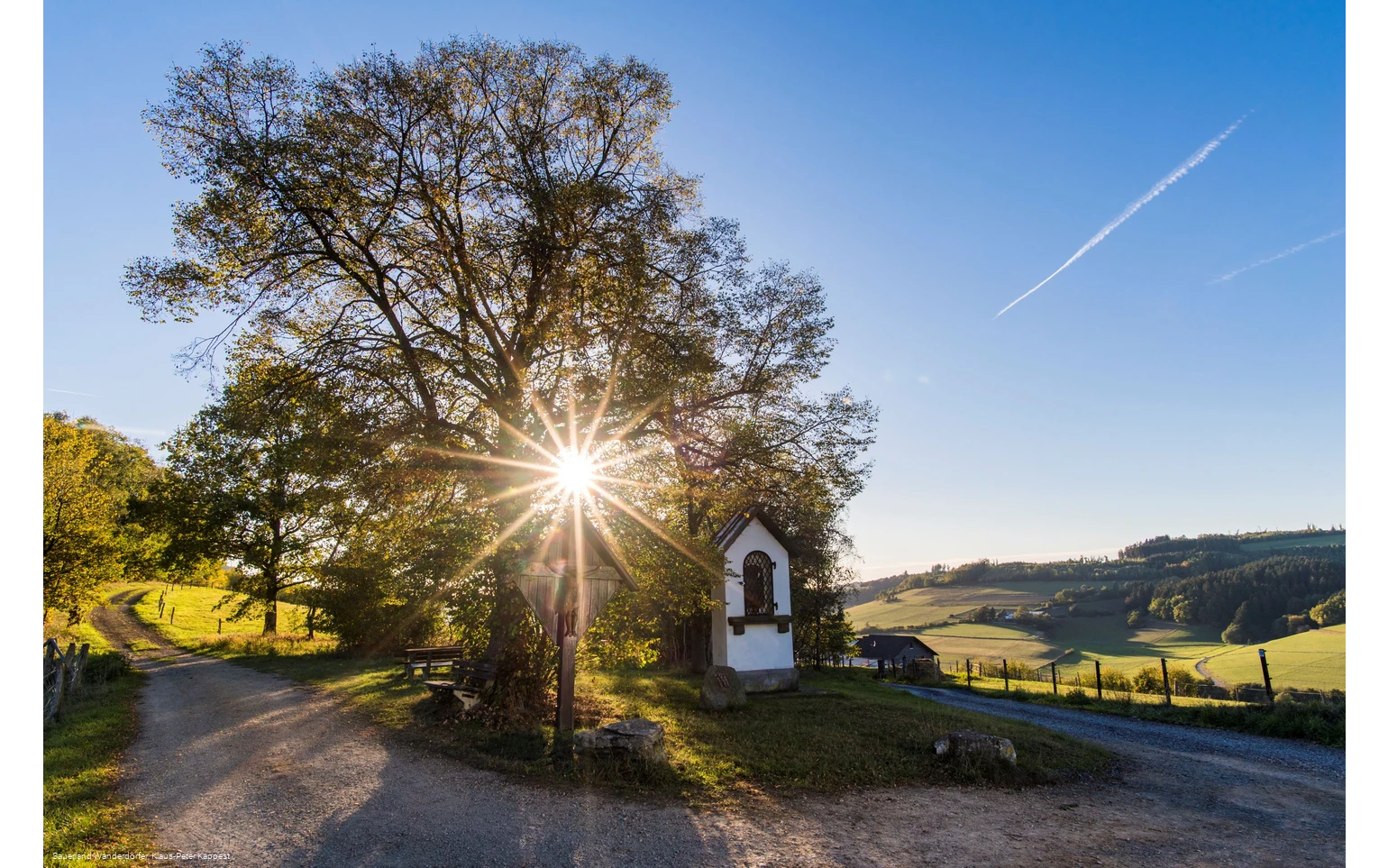 Sauerland Seelenort Lausebuche