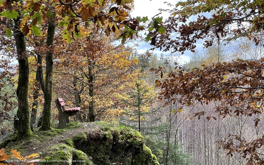 Waldlehrpfad Saalhausen
