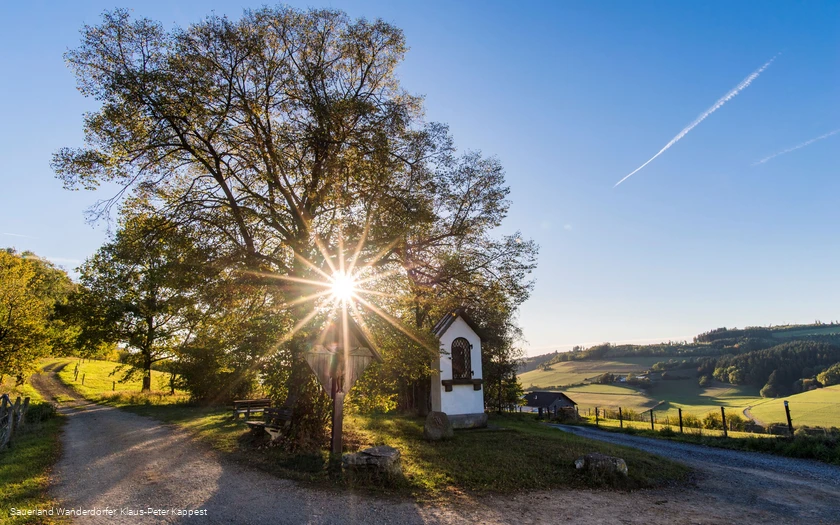 Sauerland Seelenort Lausebuche