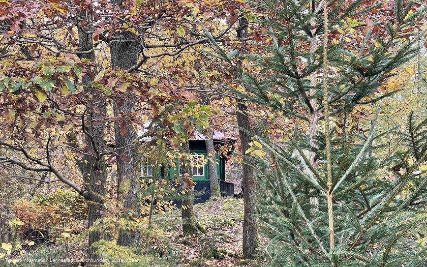 Waldlehrpfad Saalhausen