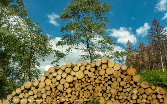 Holzstapel_©Otto Kordes