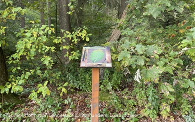 Rahrbacher Poesieweg