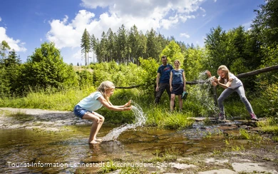 Familienwanderspaß im Schwarzbachtal