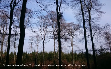 FFH Gebiet Apollmicke-Einsiedelei