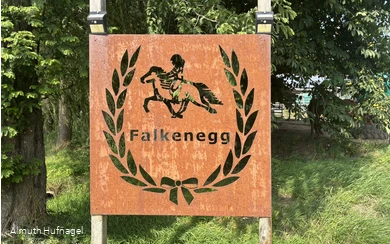 Falkenegg_Logo