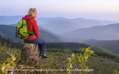 Wanderin auf Baumstamm