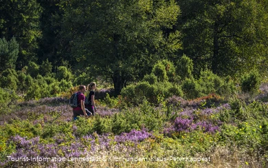 Wandern in der Heinsberger Heide