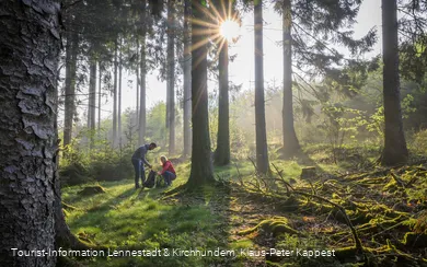 Picknick im Wald