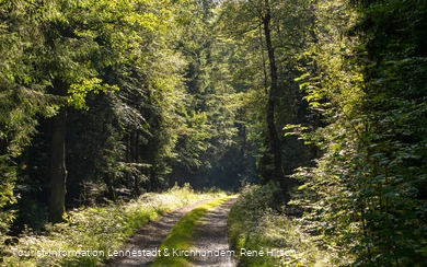 Wanderweg an der Einsiedelei