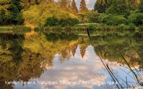 Impressionen des Dollenbrucher Weihers