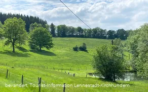 Aussicht bei Gut Ahe