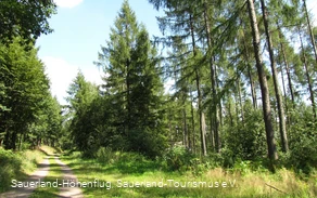 Wälder bei Hülschotten Wälder bei Hülschotten