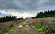 IMG20240618074609.jpg