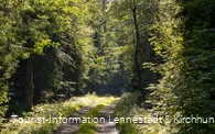 Wanderweg an der Einsiedelei