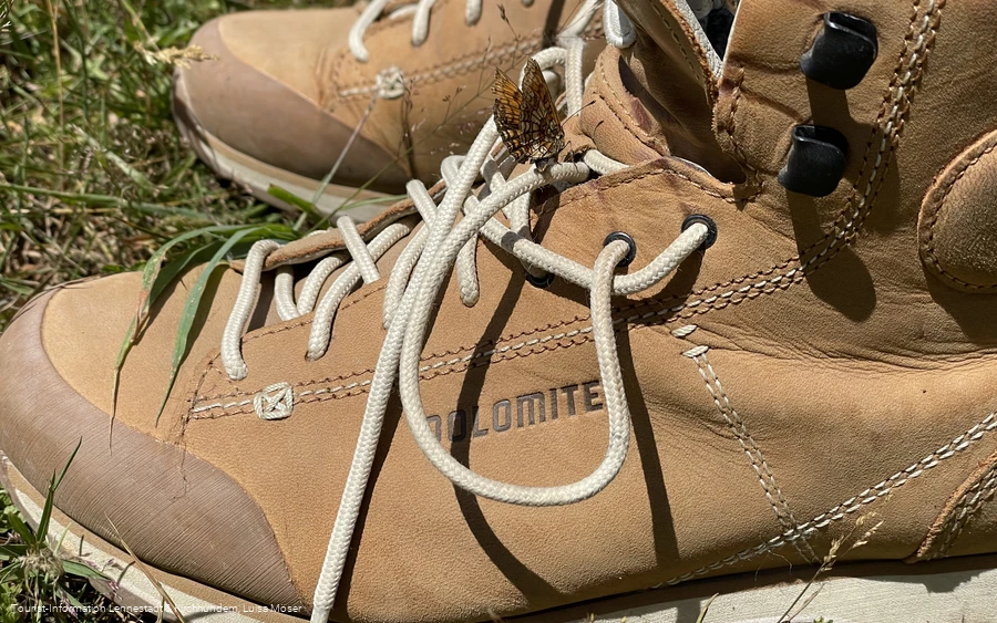 Wanderschuh mit Schmetterling
