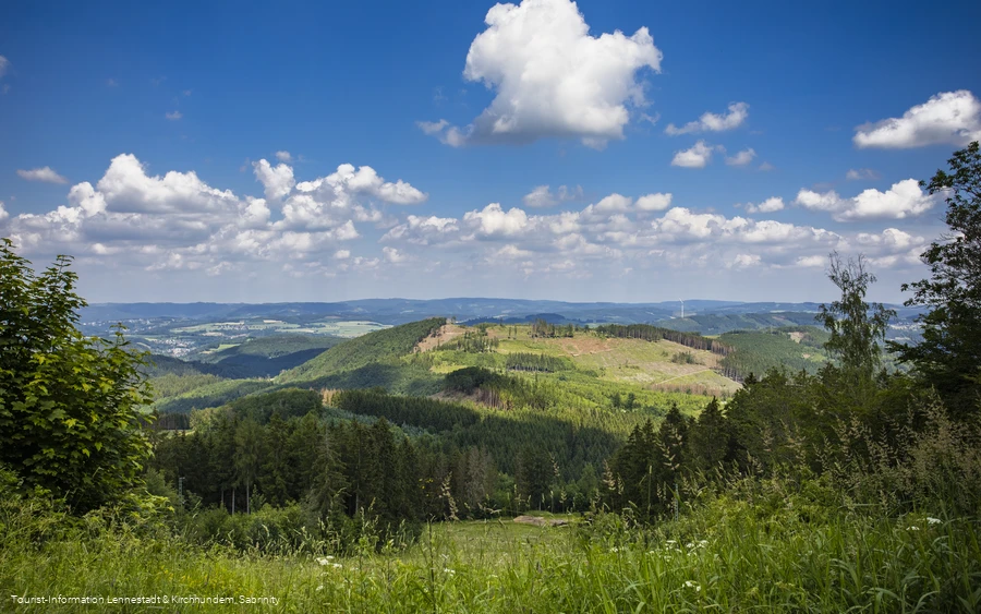 Aussicht Hohe Bracht ohne Personen