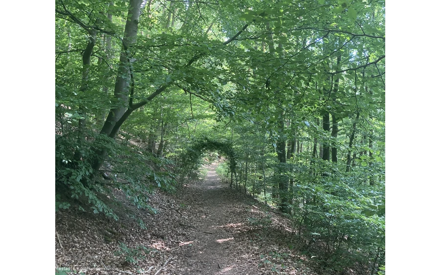 Kracht, Grevenbrück