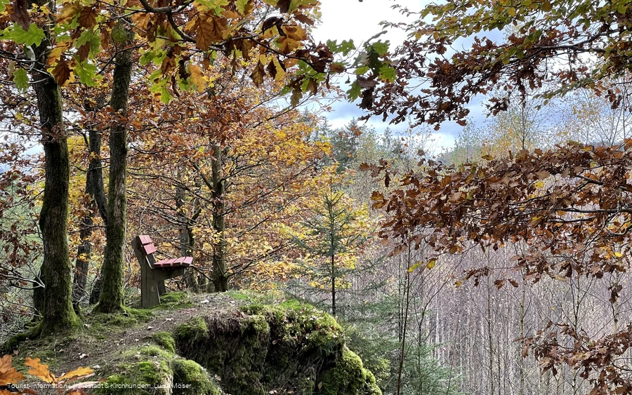 Waldlehrpfad Saalhausen