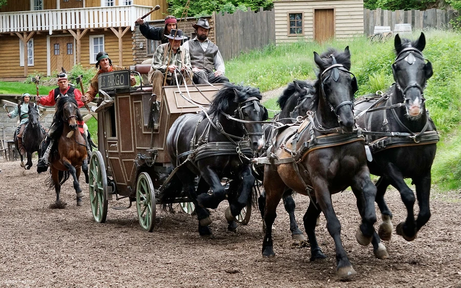 Pferdekutsche