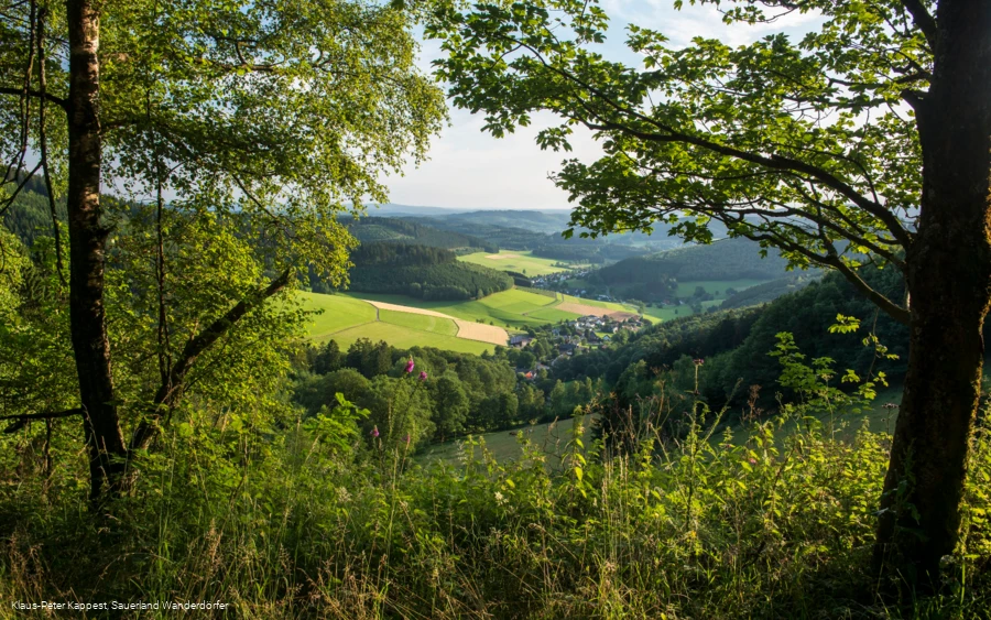 Aussicht am goldenen Zapfen in Siegerland