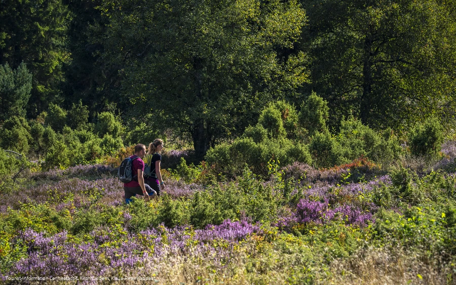 Wandern in der Heinsberger Heide