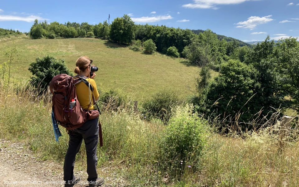 Couchflucht mit Kamera Couchflucht mit Kamera