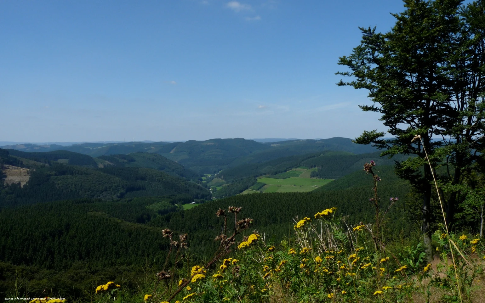 Wanderung Rund um den Härdler