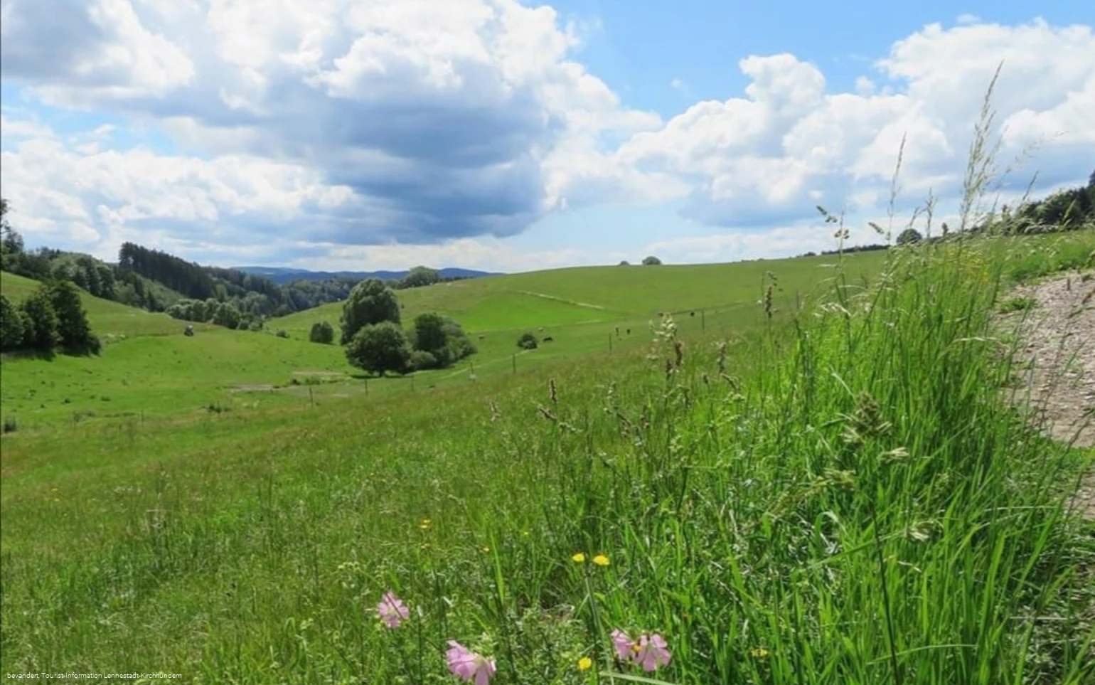 Rund um Elspe