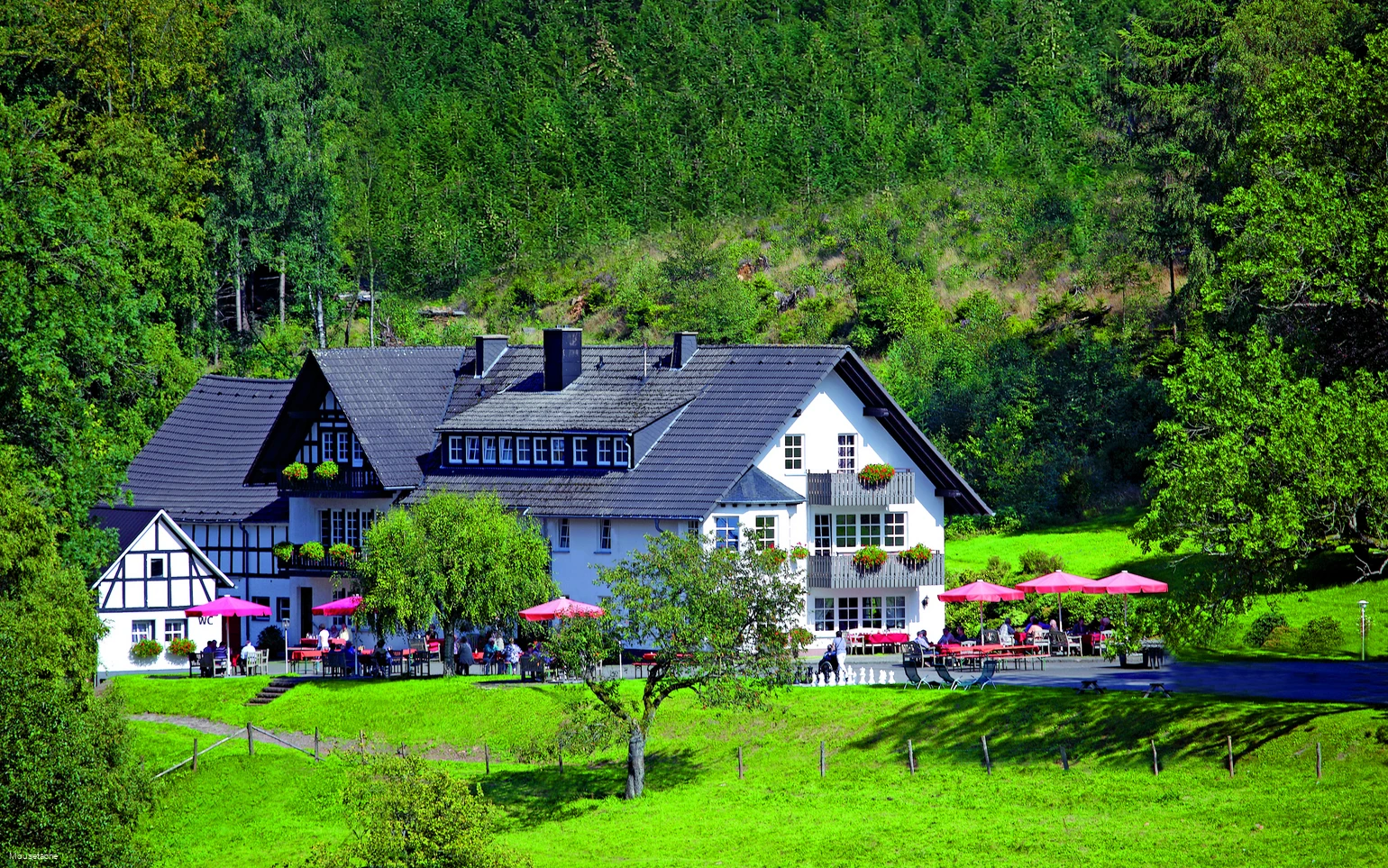Landgasthof GutAhe.jpg