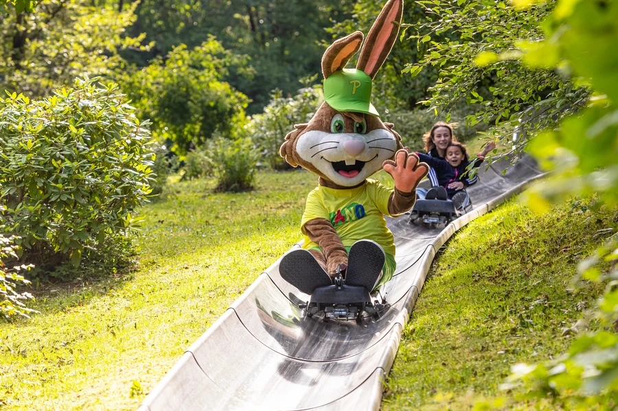 Panorama Park Fichtenflitzer mit Pano