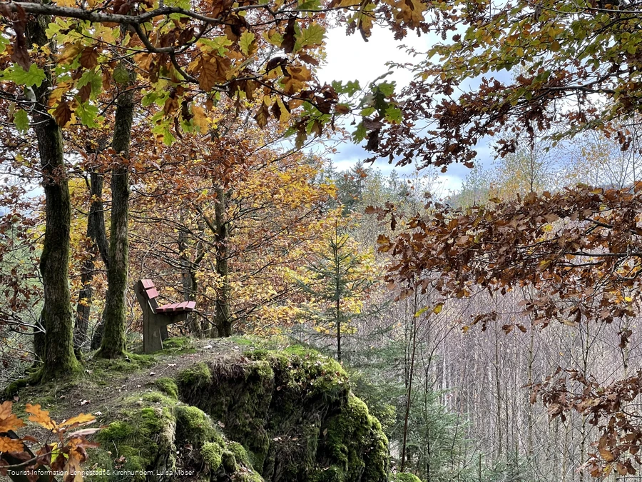 Walderlebnispfad Saalhausen