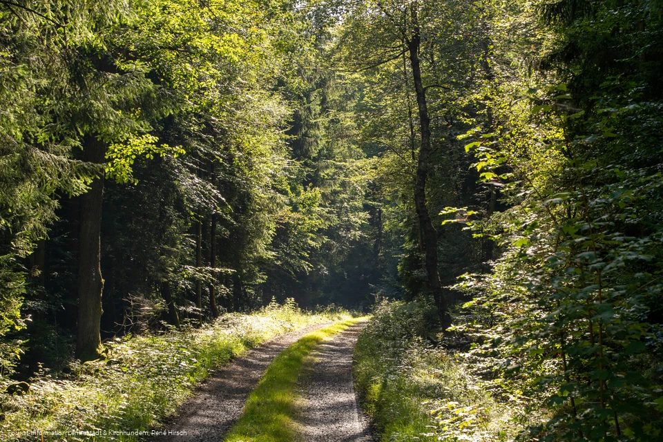 Wanderweg an der Einsiedelei