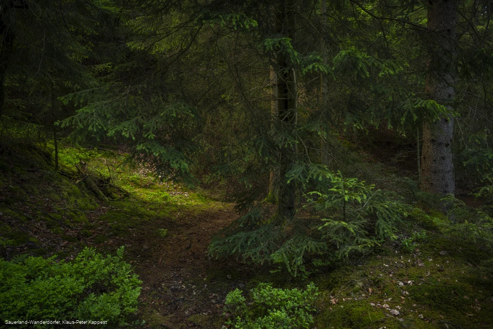 Sauerland-Seelenort Steinbruch am Schinkenkeller
