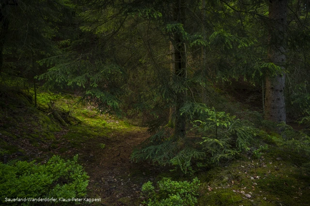 Sauerland-Seelenort Steinbruch am Schinkenkeller