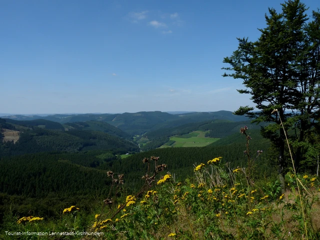 Wanderung Rund um den Härdler