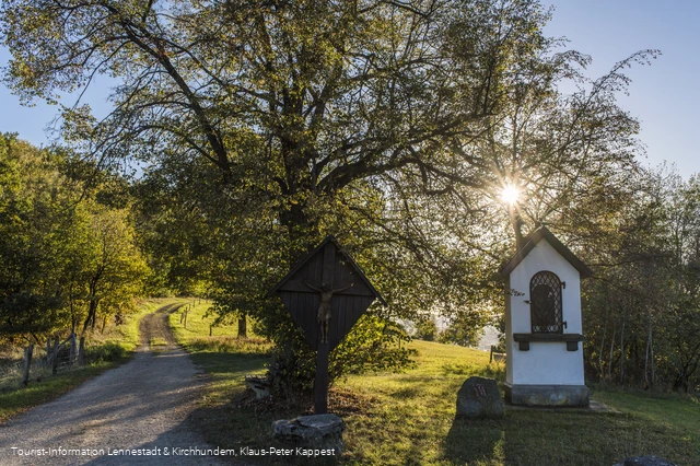 Sauerland-Seelenort Lausebuche